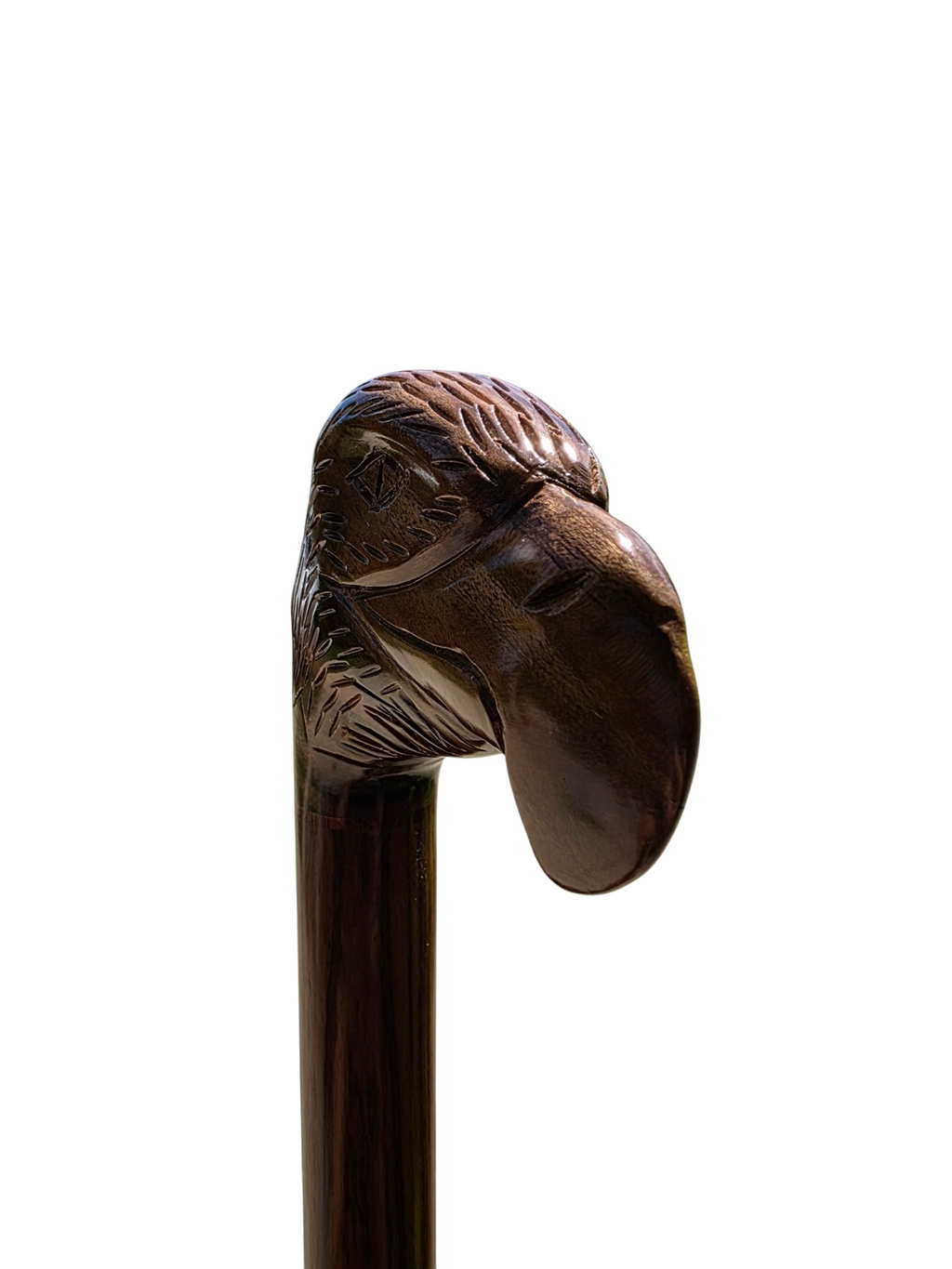 Rare Laurel Wood Eagle Cane — Fully Hand-Carved Artisan Walking Stick