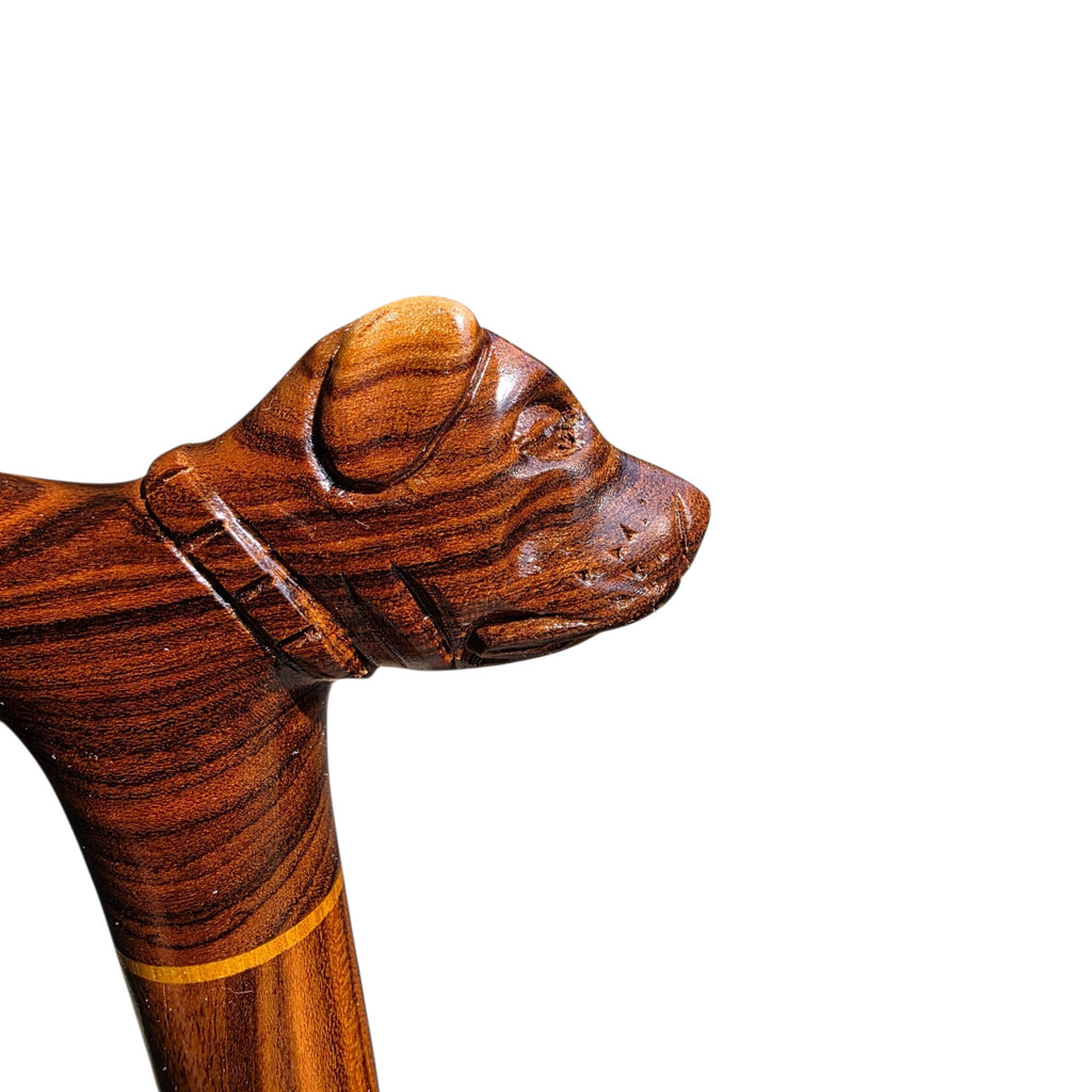 Bastón con empuñadura de cabeza de perro tallada a mano en madera de laurel rara